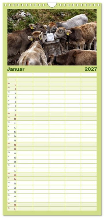 Produktbild: Familienplaner 2027 - Allg&auml;u - Natur pur mit 5 Spalten (Wandkalender, 21 x 45 cm) CALVENDO