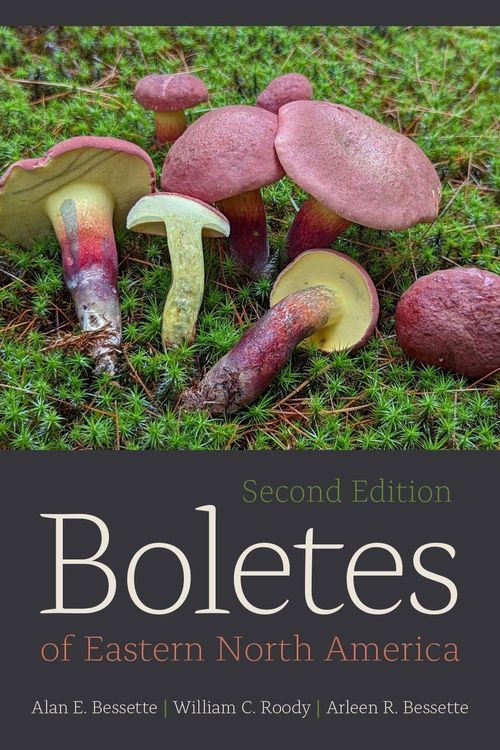 Produktbild: Boletes of Eastern North America