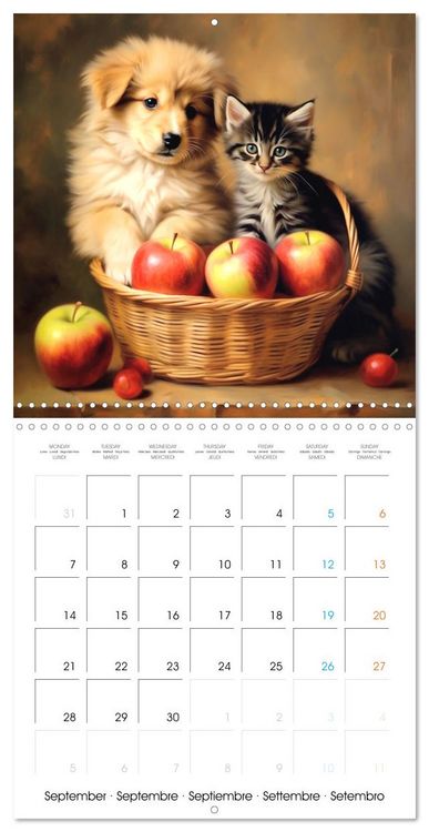 Produktbild: Instants craquants (Calendrier mural carr&eacute; 2026 30x30 cm) Calendrier double avec une page pour vos prises de notes