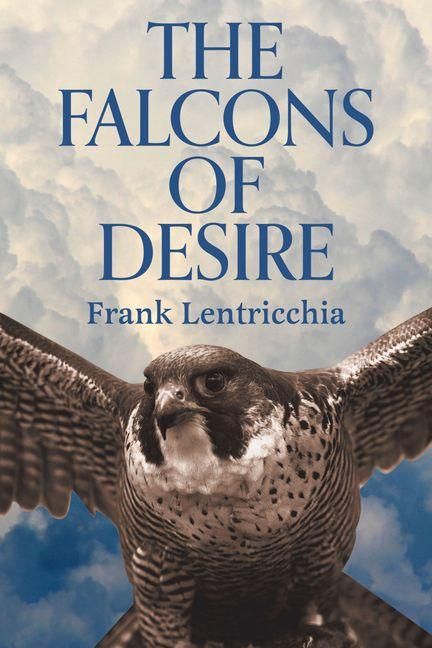 Produktbild: The Falcons of Desire