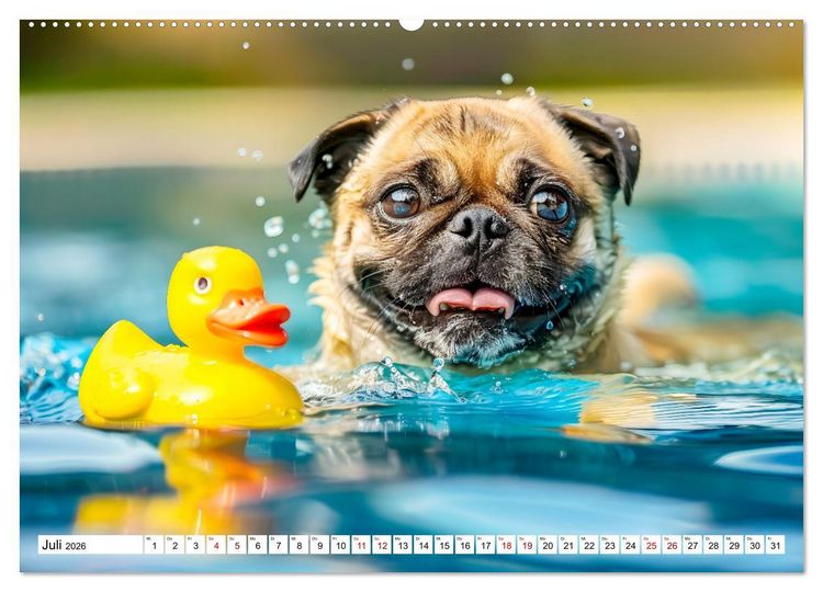 Produktbild: Mops-Mania - Der Spa&szlig;kalender f&uuml;r Mops-Fans (hochwertiger Premium Wandkalender 2026 DIN A2 quer), Kunstdruck in Hochglanz