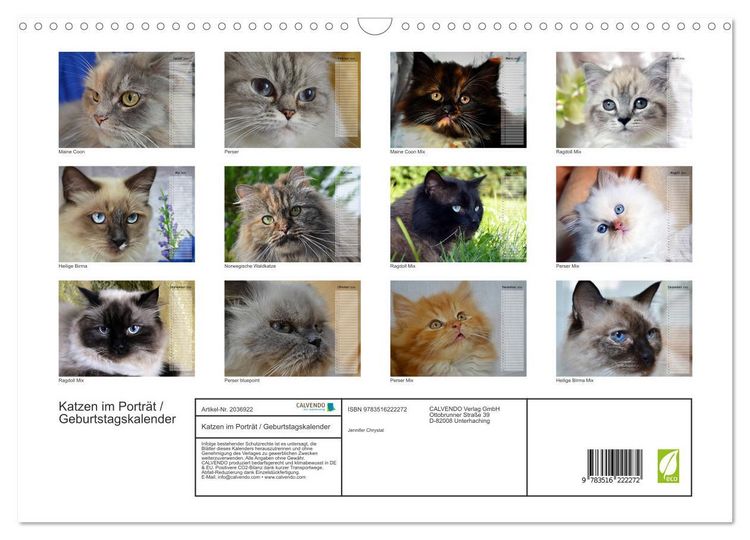 Produktbild: Katzen im Portr&auml;t / Geburtstagskalender (Wandkalender 2026 DIN A3 quer), CALVENDO Monatskalender