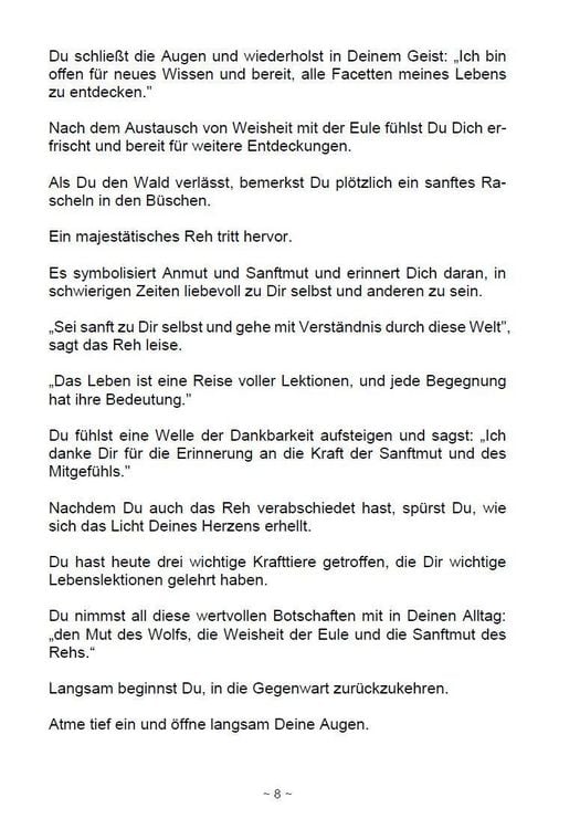 Produktbild: Die magische Welt der Krafttiere