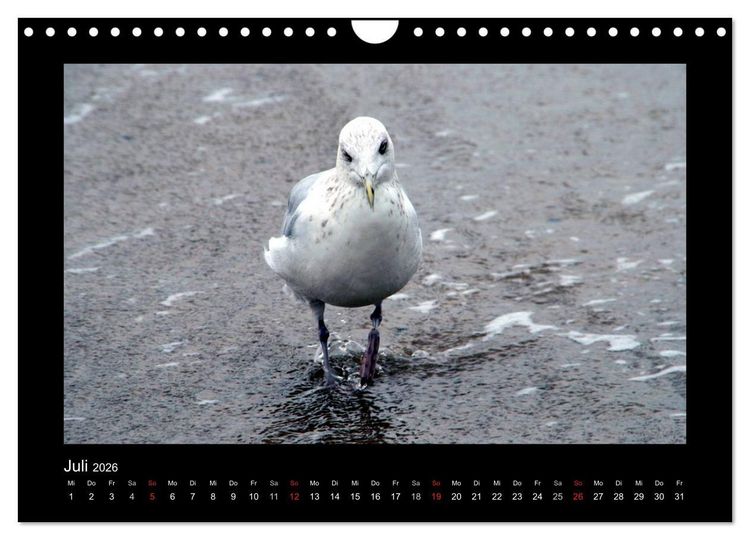 Produktbild: An der Nordsee (Wandkalender 2026 DIN A4 quer), CALVENDO Monatskalender