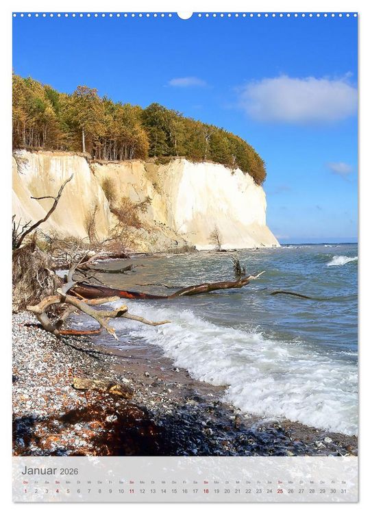 Produktbild: Im Nationalpark Jasmund - Naturwunder auf der Ostseeinsel R&uuml;gen (hochwertiger Premium Wandkalender 2026 DIN A2 hoch), Kunstdruck in Hochglanz