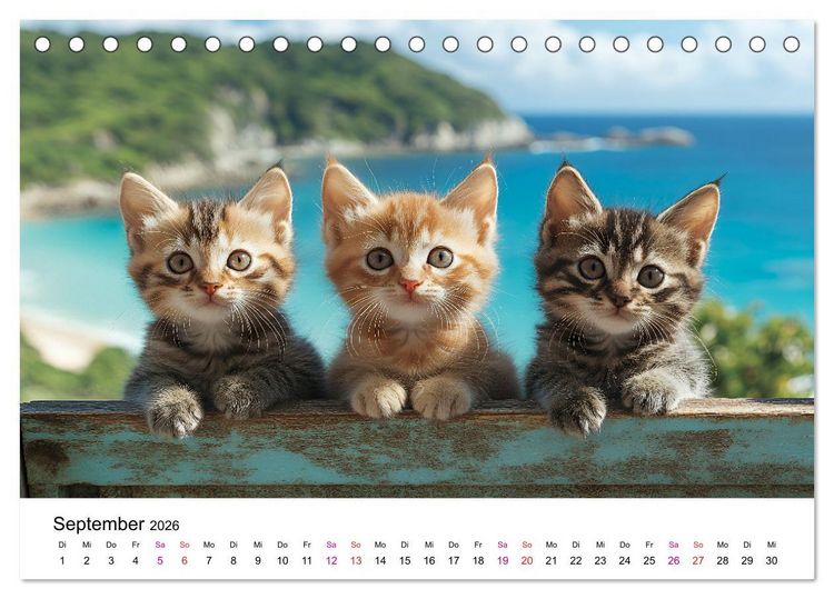 Produktbild: Katzenzauber - Samtpfoten im Jahreslauf (Tischkalender 2026 DIN A5 quer), CALVENDO Monatskalender