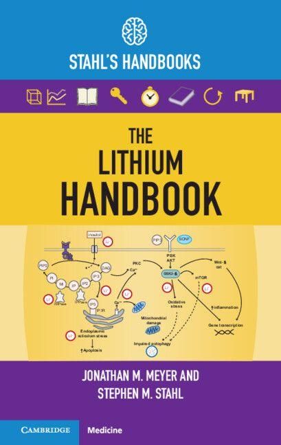 Produktbild: The Lithium Handbook