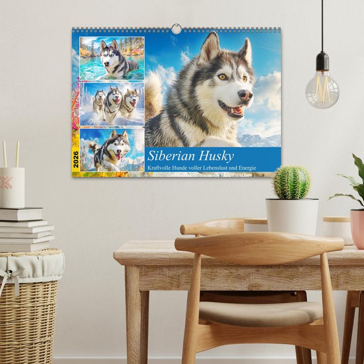 Produktbild: Siberian Husky. Kraftvolle Hunde voller Lebenslust und Energie (Wandkalender 2026 DIN A3 quer), CALVENDO Monatskalender