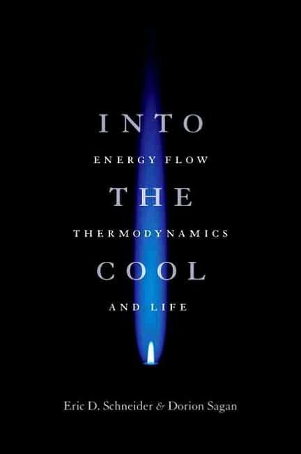 Produktbild: Into The Cool