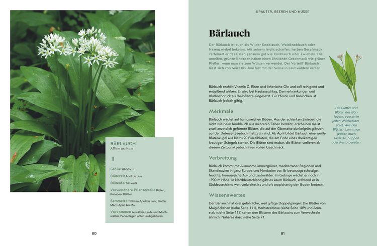 Produktbild: Abenteuer Wald