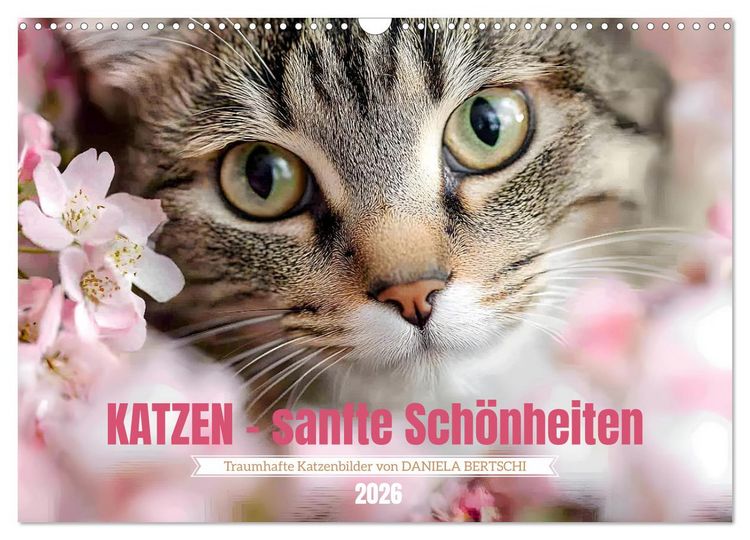 Produktbild: Katzen - sanfte Sch&ouml;nheiten (Wandkalender 2026 DIN A3 quer), CALVENDO Monatskalender