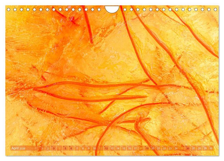 Produktbild: W&uuml;rziges Eis (Wandkalender 2026 DIN A4 quer), CALVENDO Monatskalender