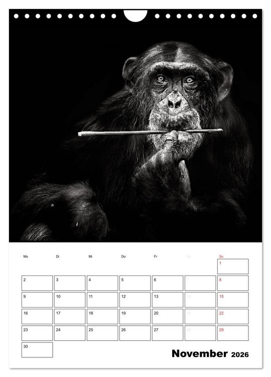 Produktbild: Charakterk&ouml;pfe aus der Welt der Tiere (Wandkalender 2026 DIN A4 hoch), CALVENDO Monatskalender