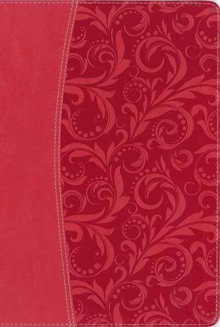 Produktbild: Niv Quest Study Bible Imit Pin
