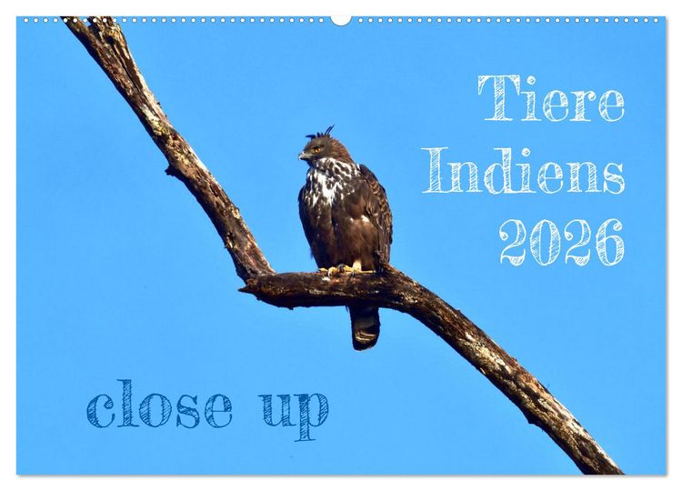 Produktbild: Tiere Indiens close up (Wandkalender 2026 DIN A2 quer), CALVENDO Monatskalender