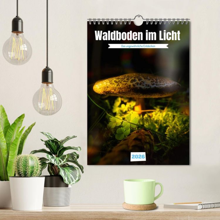 Produktbild: Waldboden im Licht (Wandkalender 2026 DIN A4 hoch), CALVENDO Monatskalender
