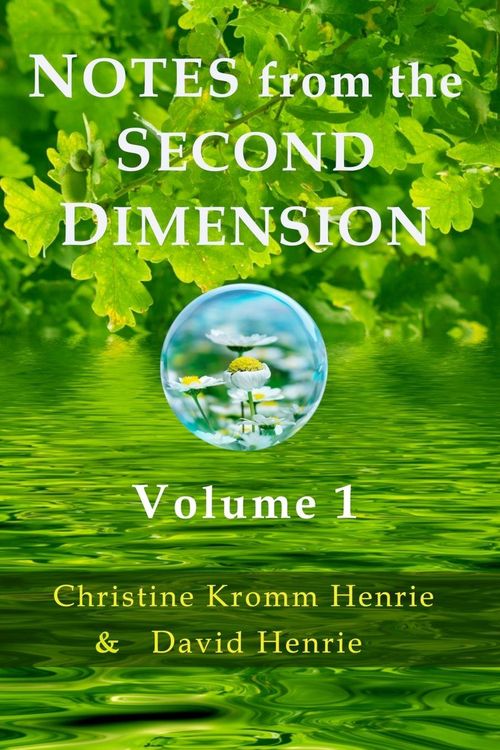 Produktbild: Notes from the Second Dimension
