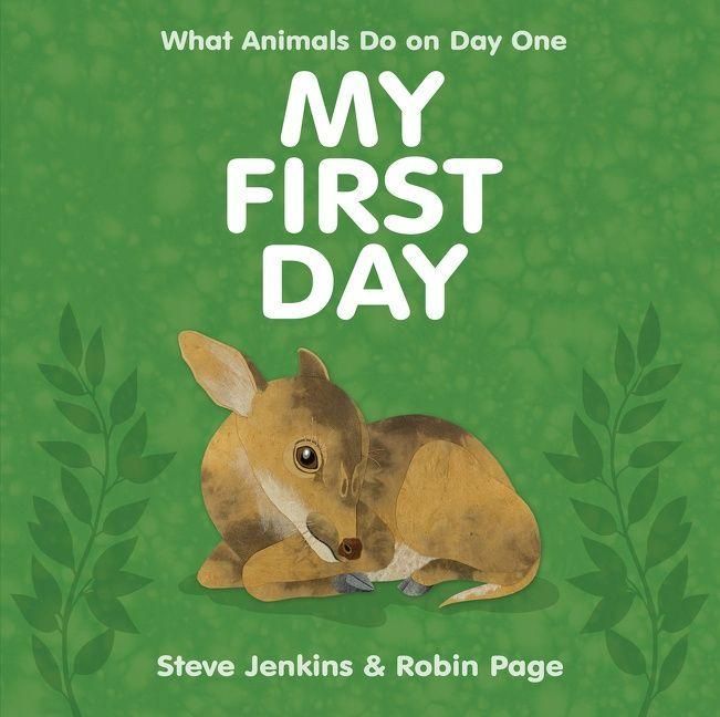Produktbild: My First Day