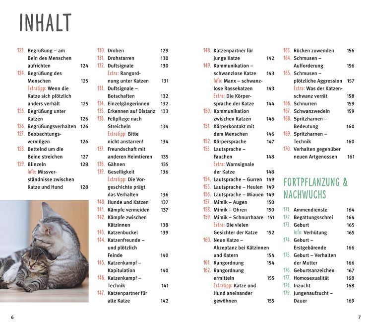 Produktbild: 300 Fragen zum Katzenverhalten