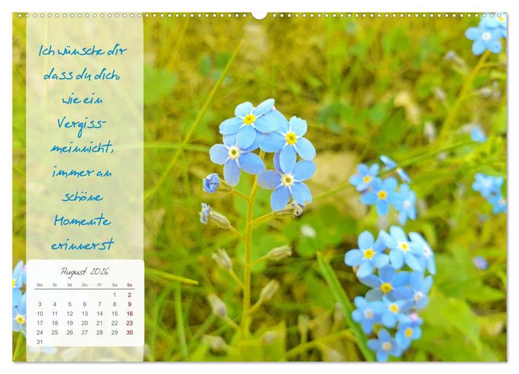 Produktbild: Bl&uuml;hende Herzensw&uuml;nsche f&uuml;r Dich! (Wandkalender 2026 DIN A2 quer), CALVENDO Monatskalender