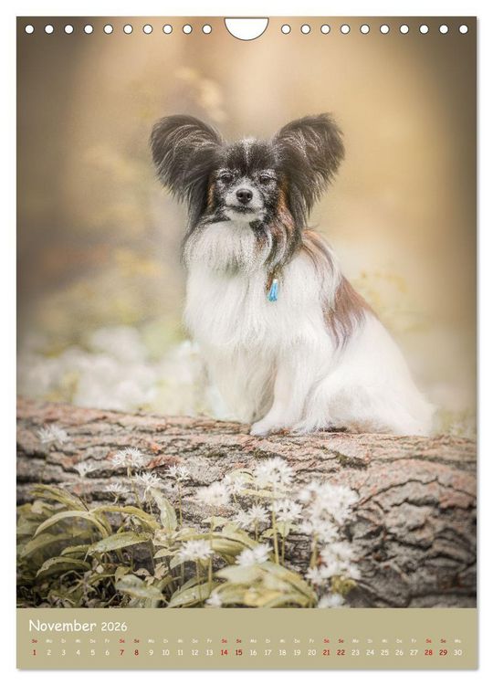Produktbild: Flora Canidae - der Hunde-Bl&uuml;hpflanzen-Kalender (Wandkalender 2026 DIN A4 hoch), CALVENDO Monatskalender