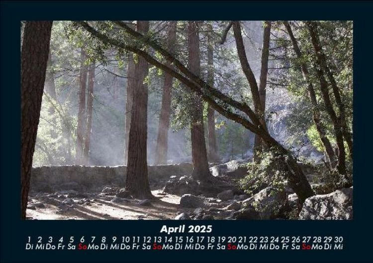 Produktbild: Waldzauber 2025 Fotokalender DIN A5