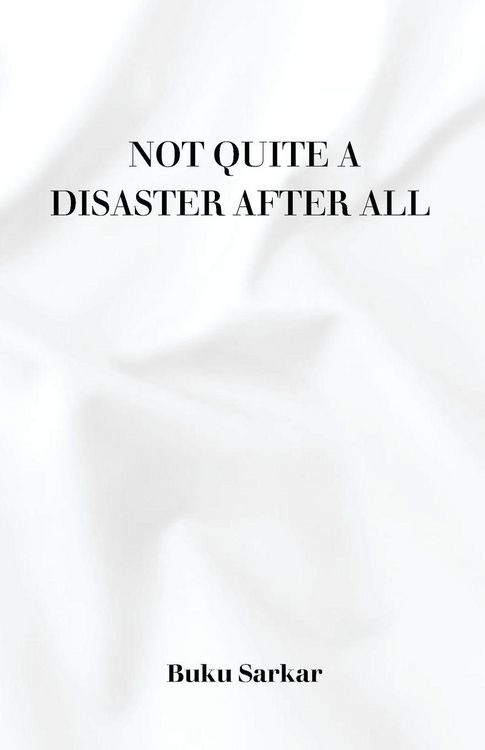 Produktbild: Not Quite a Disaster After All