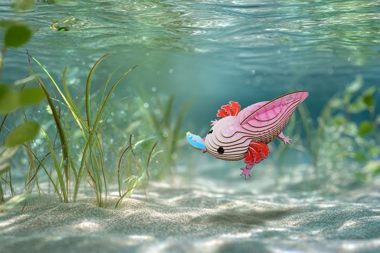 Produktbild: EUGY - 3D Bastelset Axolotl