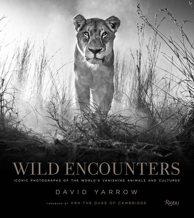 Produktbild: Yarrow, D: Wild Encounters