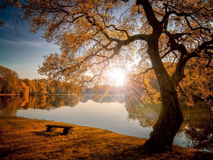 Produktbild: CALVENDO Puzzle Herbstlicht | 1000 Teile Lege-Gr&ouml;&szlig;e 64x48cm Foto-Puzzle f&uuml;r gl&uuml;ckliche Stunden
