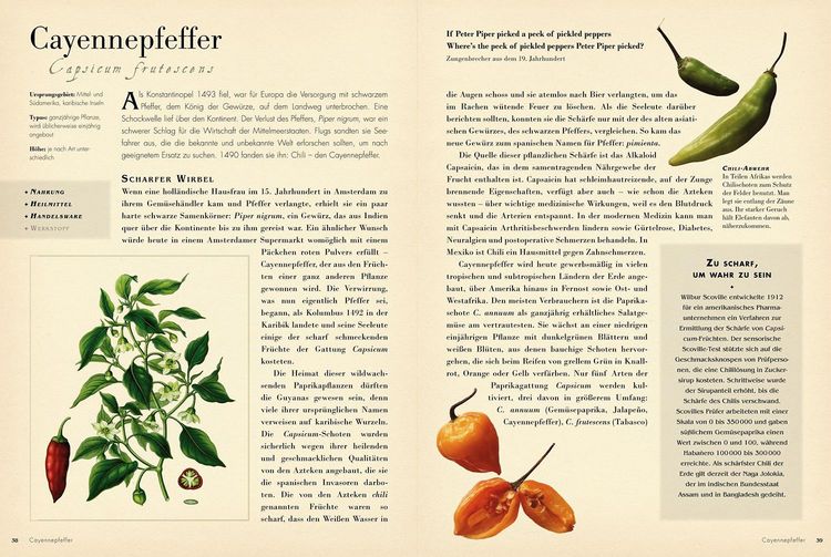 Produktbild: 50 Pflanzen