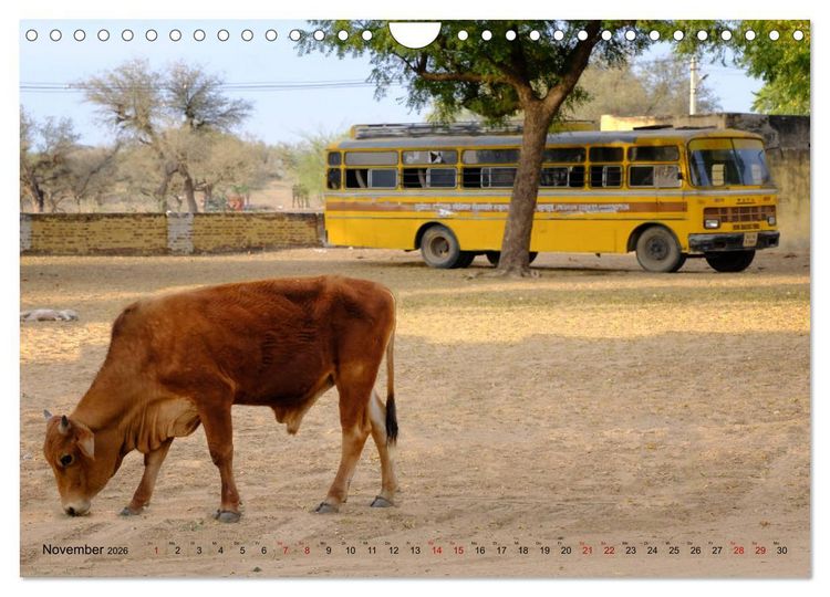 Produktbild: Eine Reise durch Rajasthan (Wandkalender 2026 DIN A4 quer), CALVENDO Monatskalender