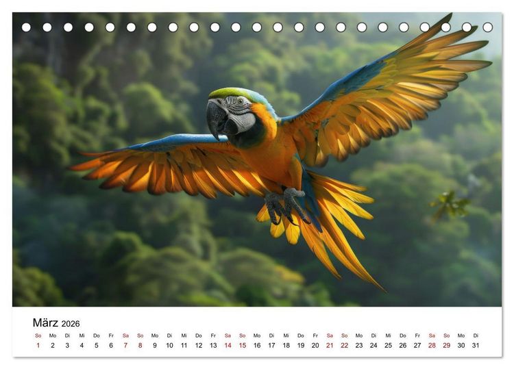 Produktbild: Papageien - Farbenfrohe Paradiesv&ouml;gel (Tischkalender 2026 DIN A5 quer), CALVENDO Monatskalender