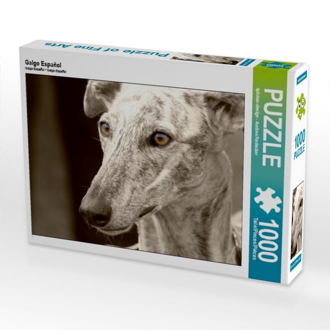 Produktbild: CALVENDO Puzzle Galgo Espa&ntilde;ol | 1000 Teile Lege-Gr&ouml;&szlig;e 64x48cm Foto-Puzzle f&uuml;r gl&uuml;ckliche Stunden