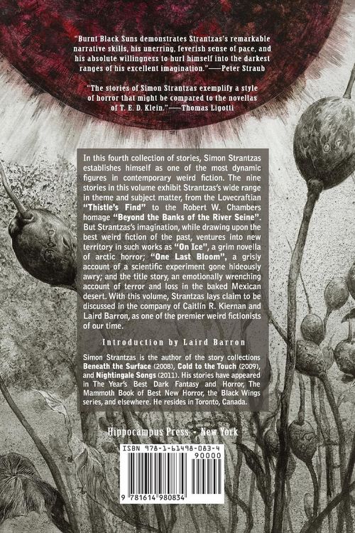 Produktbild: Burnt Black Suns