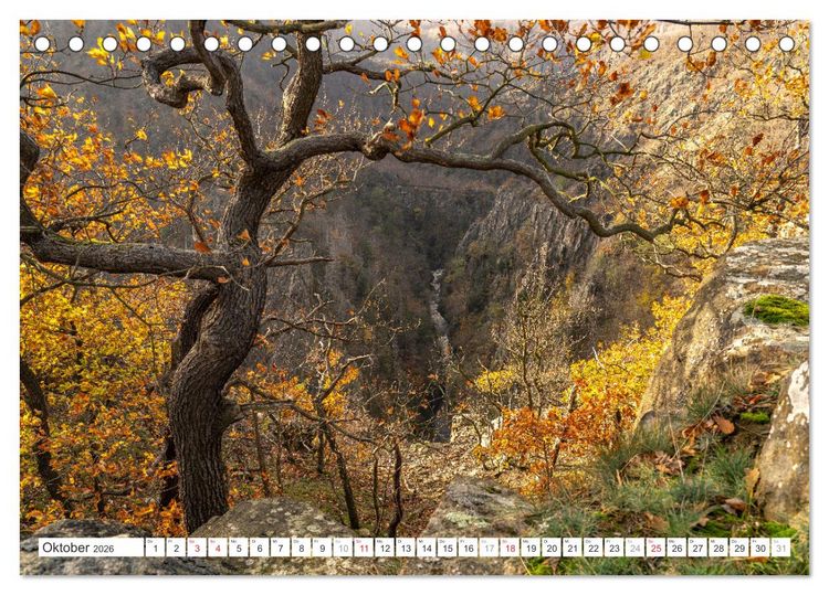 Produktbild: Deutsche Bundesl&auml;nder - Sachsen-Anhalt (Tischkalender 2026 DIN A5 quer), CALVENDO Monatskalender