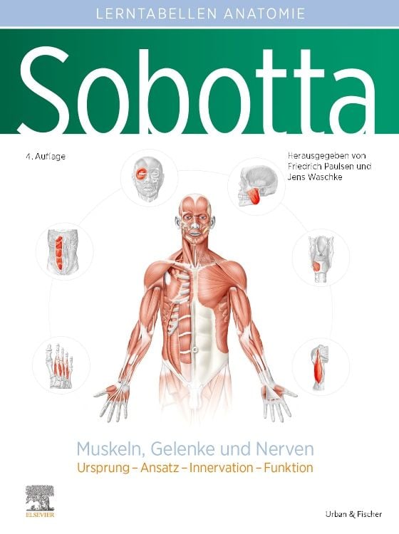 Produktbild: Sobotta Lerntabellen Anatomie Muskeln, Gelenke und Nerven