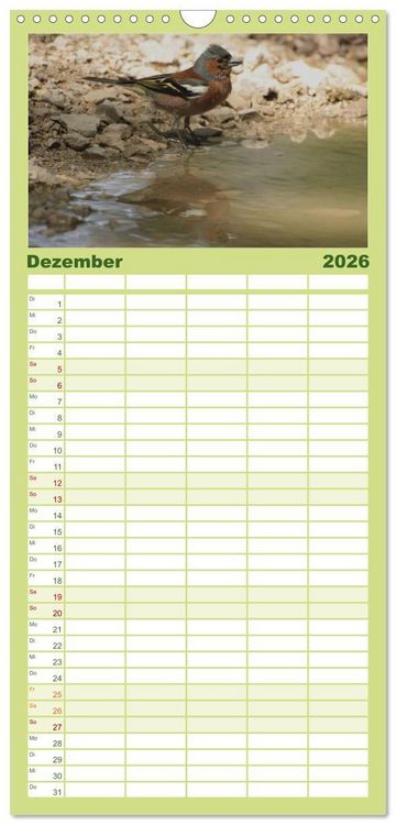 Produktbild: Familienplaner 2026 - Die farbenfrohe Welt der Finken mit 5 Spalten (Wandkalender, 21 x 45 cm) CALVENDO