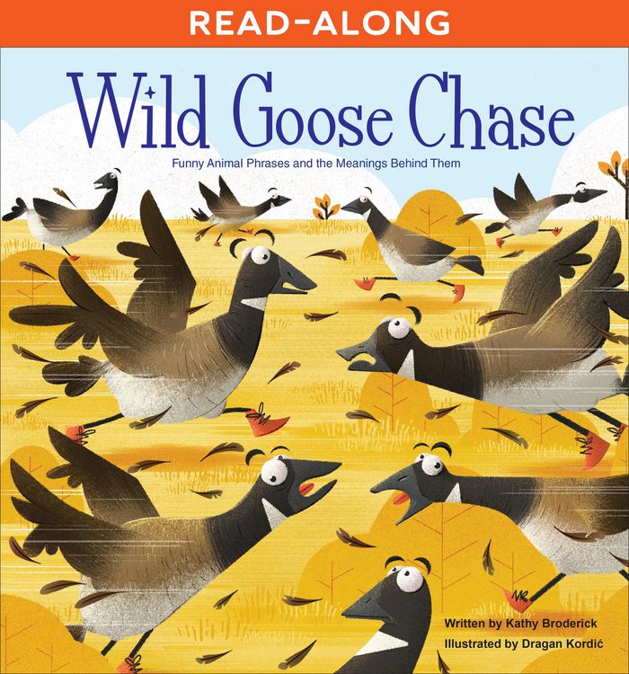 Produktbild: Wild Goose Chase