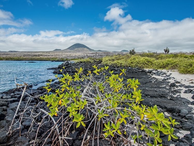 Produktbild: CALVENDO Puzzle Isla Floreana - Galapagos | 1000 Teile Lege-Gr&ouml;&szlig;e 64x48cm Foto-Puzzle f&uuml;r gl&uuml;ckliche Stunden