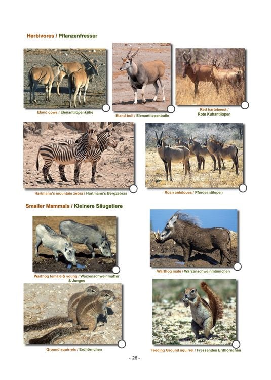 Produktbild: ETOSHA KARTE mit Fotogalerie