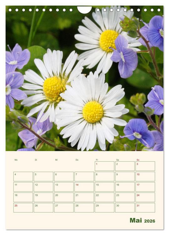 Produktbild: Vertr&auml;umte G&auml;nsebl&uuml;mchen (Wandkalender 2026 DIN A4 hoch), CALVENDO Monatskalender