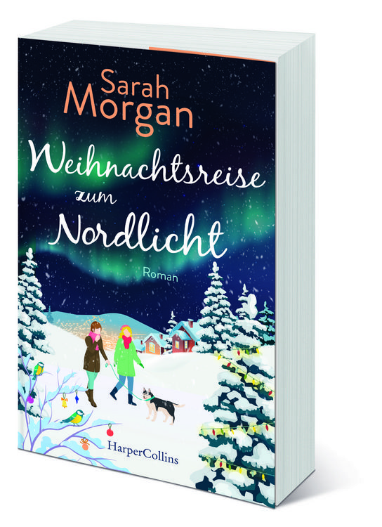 Produktbild: Weihnachtsreise zum Nordlicht