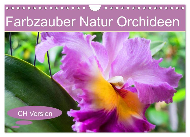 Produktbild: Farbzauber Natur Orchideen - CH Version (Wandkalender 2026 DIN A4 quer), CALVENDO Monatskalender