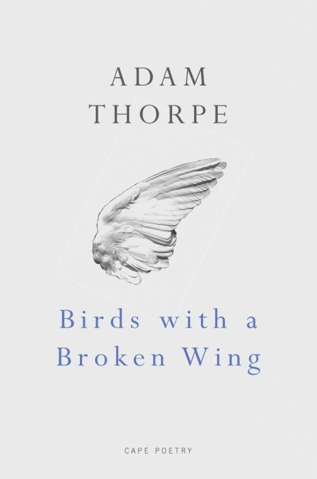 Produktbild: Birds With A Broken Wing