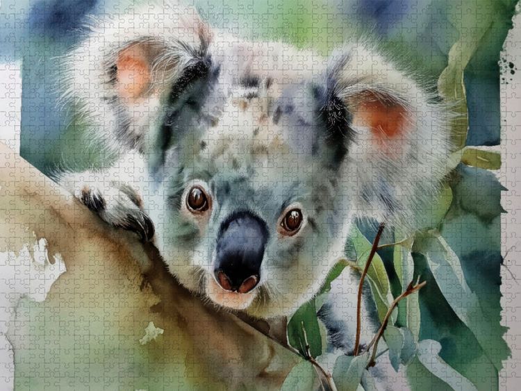 Produktbild: CALVENDO Puzzle Stolzer Koala | 2000 Teile Lege-Gr&ouml;&szlig;e 90x67cm Foto-Puzzle f&uuml;r gl&uuml;ckliche Stunden