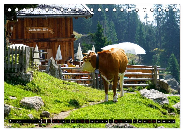Produktbild: Meraner H&ouml;henweg von Meran bis Katharinaberg (Tischkalender 2026 DIN A5 quer), CALVENDO Monatskalender