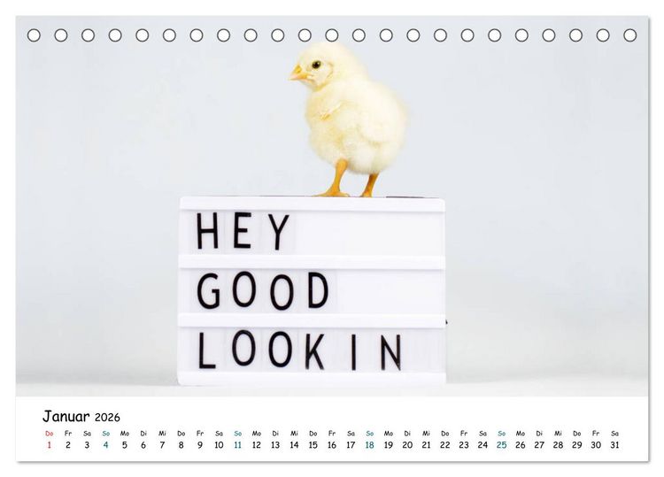 Produktbild: Tierkinder ganz frech (Tischkalender 2026 DIN A5 quer), CALVENDO Monatskalender