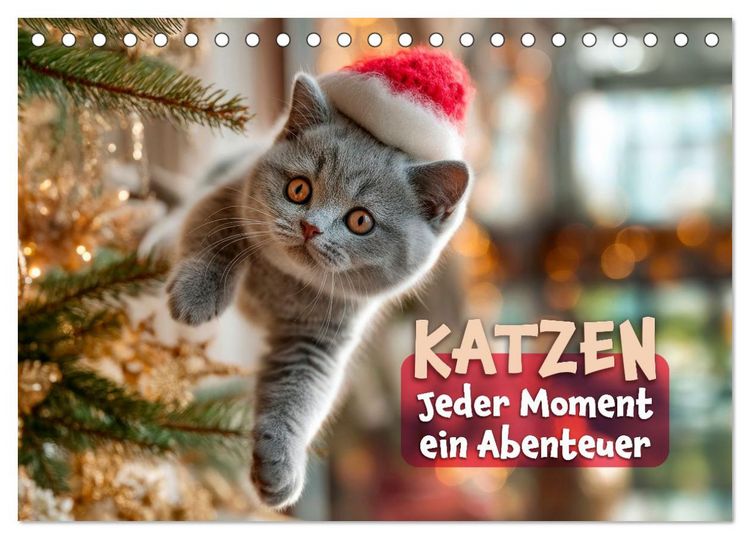 Produktbild: Katzen - Jeder Moment ein Abenteuer (Tischkalender 2027 DIN A5 quer), CALVENDO Monatskalender