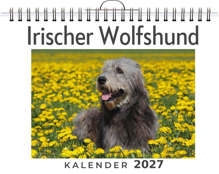 Produktbild: Irischer Wolfshund